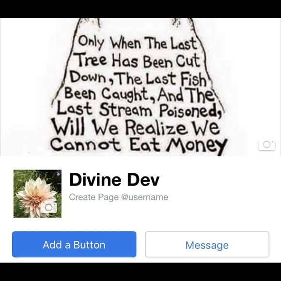 Clothes - Picture 4 of 4